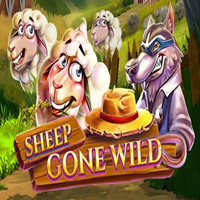 sheep gone wild
